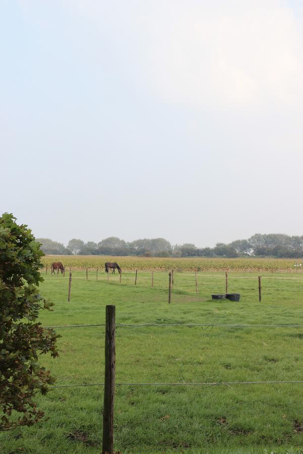 Gastenverblijven Boerderij Het Driespan Middelburg Exteriér fotografie