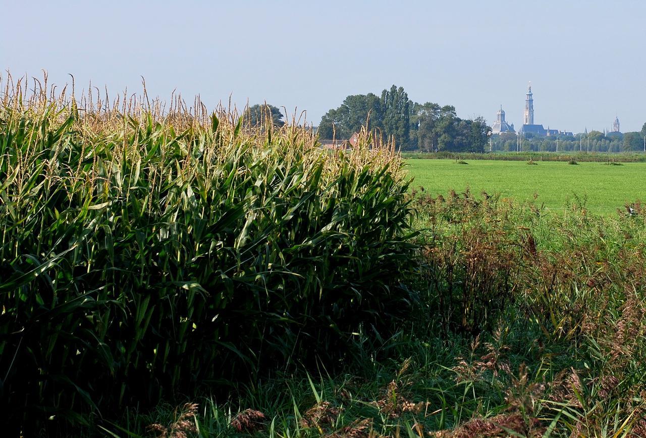 Gastenverblijven Boerderij Het Driespan Middelburg Exteriér fotografie
